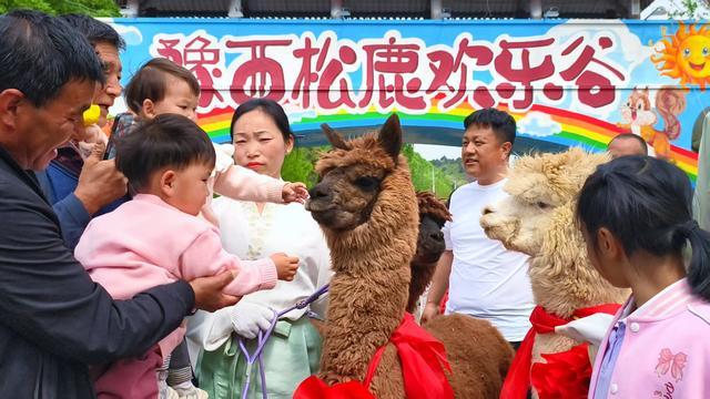 登场!邀你共赴萌趣与风雅之约mg不朽情缘豫西大峡谷:焕新(图2) 登场!邀你共赴萌趣与风雅之约mg不朽情缘豫西大峡谷:焕新(图2)