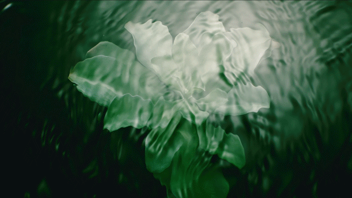 黎全能乳送菁纯眼霜5ml!入冬速囤不朽情缘终于蹲到了!299元抢希思(图13) 黎全能乳送菁纯眼霜5ml!入冬速囤不朽情缘终于蹲到了!299元抢希思(图13)